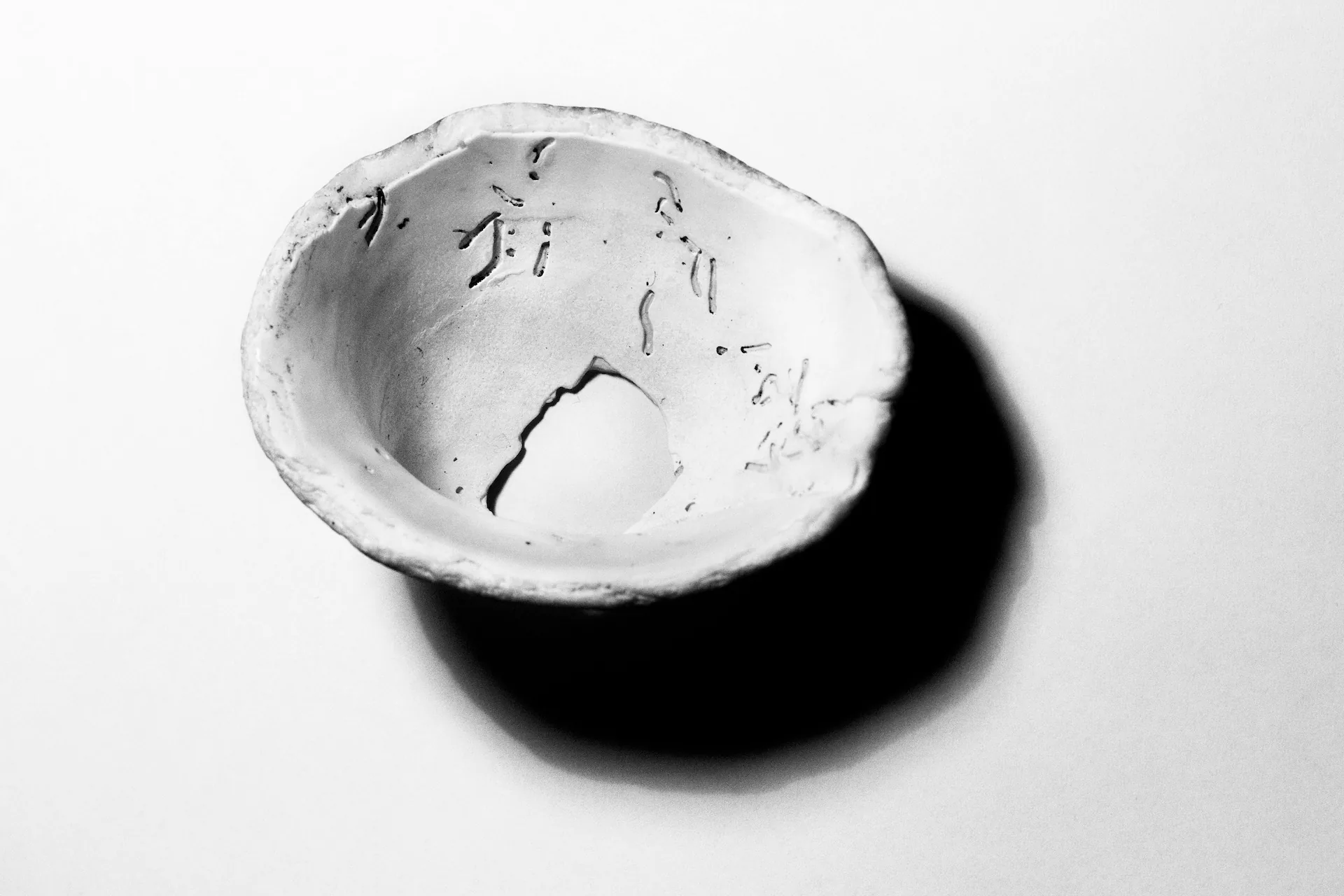 Mimetic Series - Photo 3